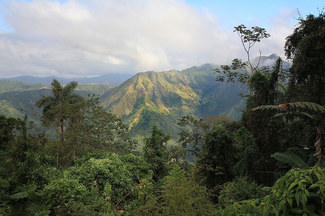 Lush mountaintops can be found in Cuba. 