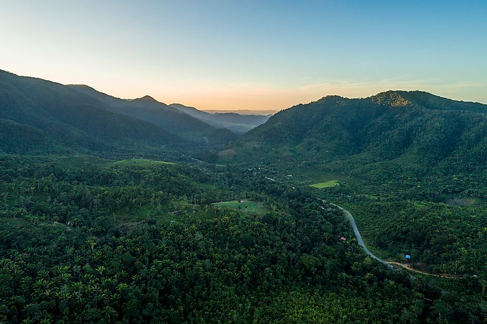 The misty rainforest of Belize. 