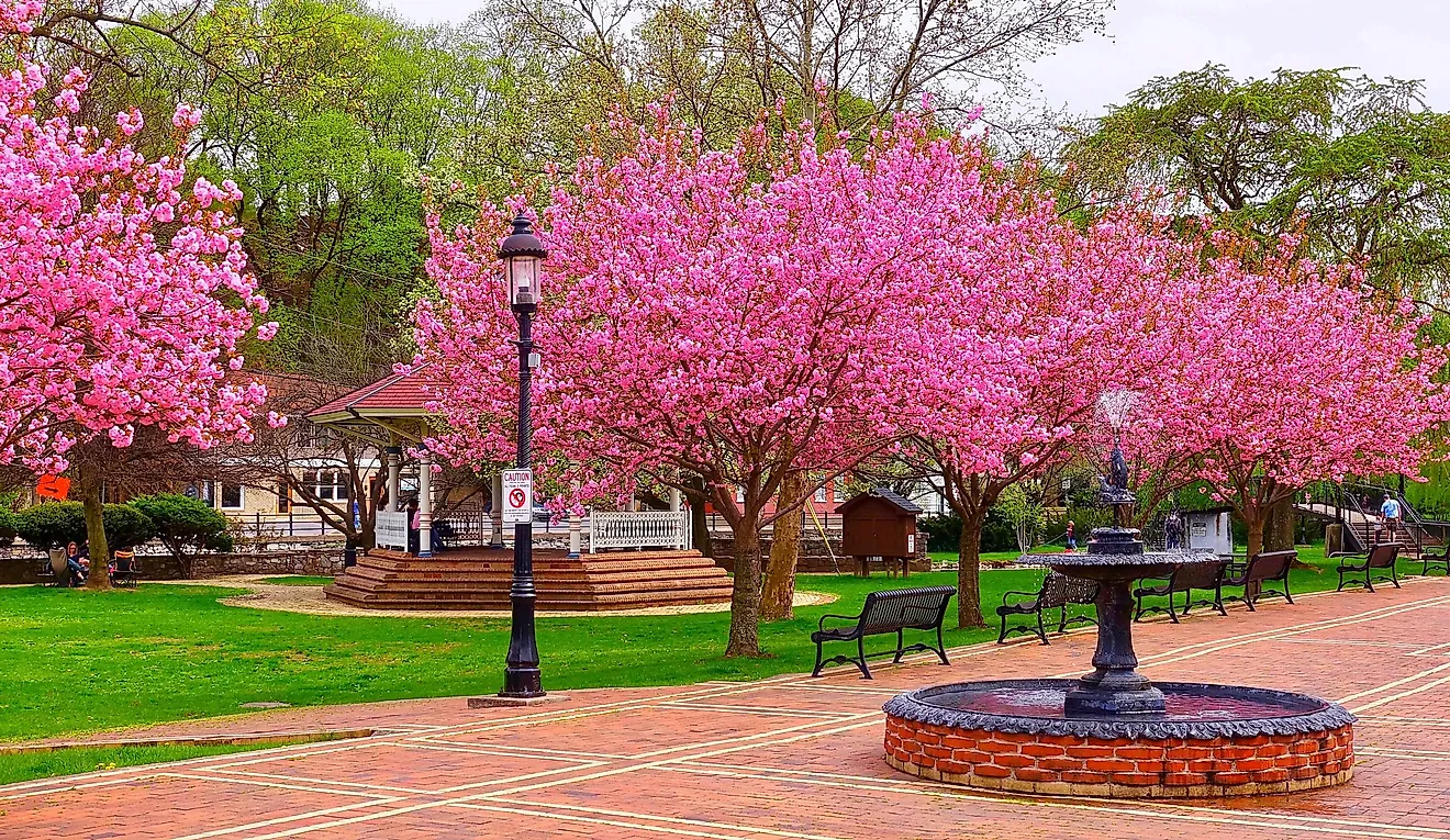 Bellefonte, Pennsylvania, a park with trees in full bloom.
