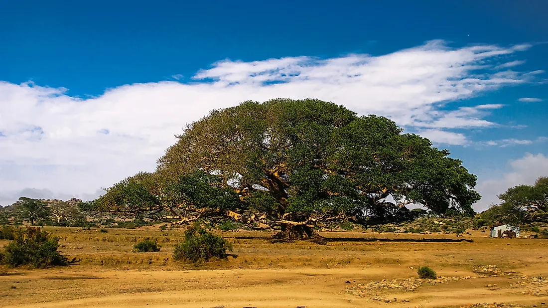 Eritrea has a diverse climate, and as a result, diverse natural resources. 