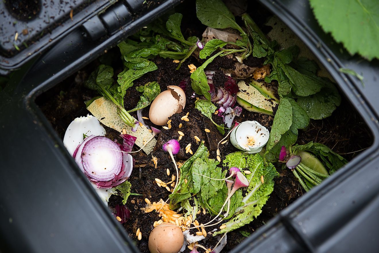 Compost Bin with Food Scraps and Grass Cuttings. Image credit: Anna Hoychuk/Shutterstock.com