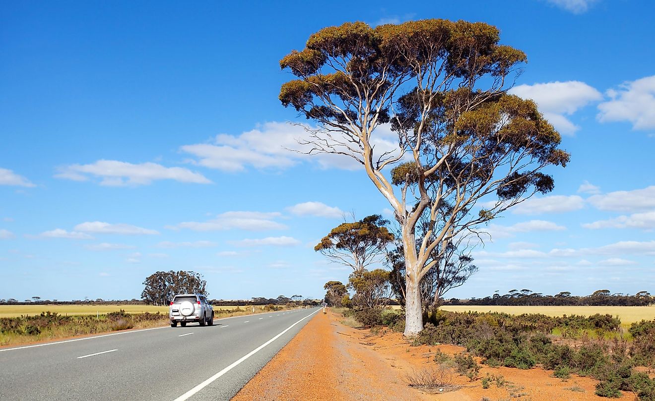 The Pintupi Nine were a group of Aborigines discovered in 1984 in Western Australia.