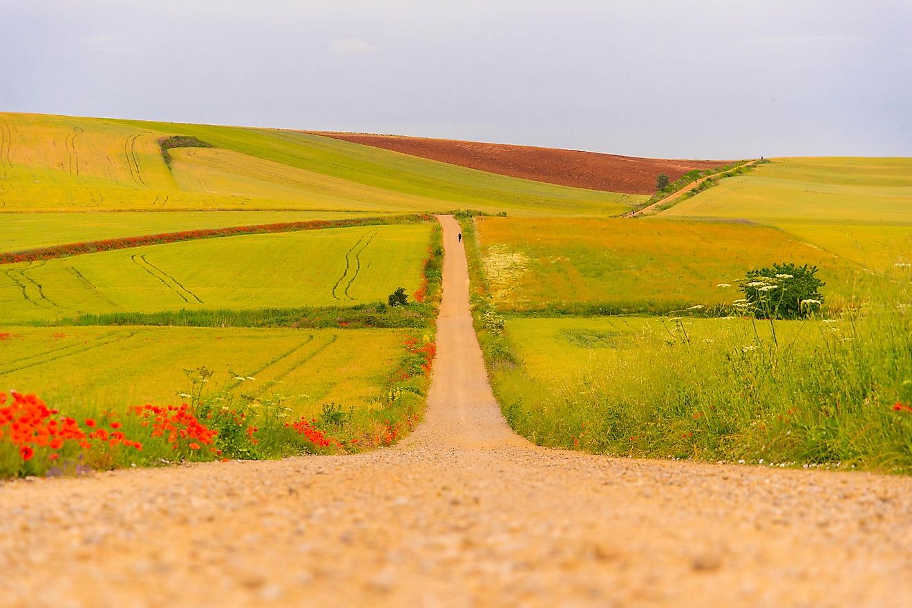 Camino Francés