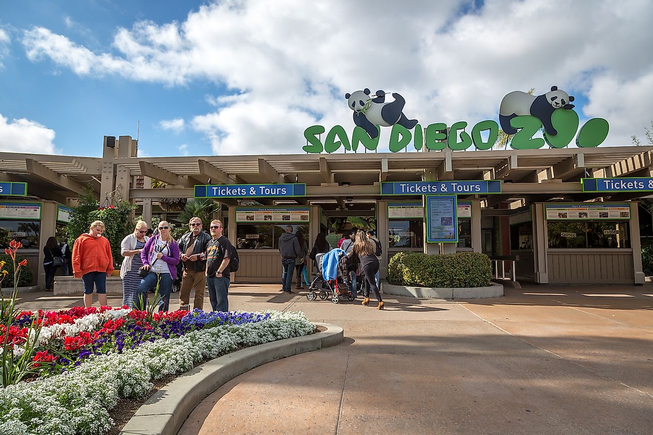  Tourists and locals just in front the main entrance of San Diego Zoo in California, USA. Image credit: LMspencer/Shutterstock.com