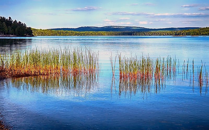 The scenic landscape of the Algonquin Provincial Park.