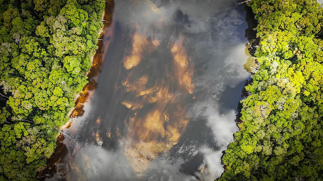 Aerial view of the Essequibo River.