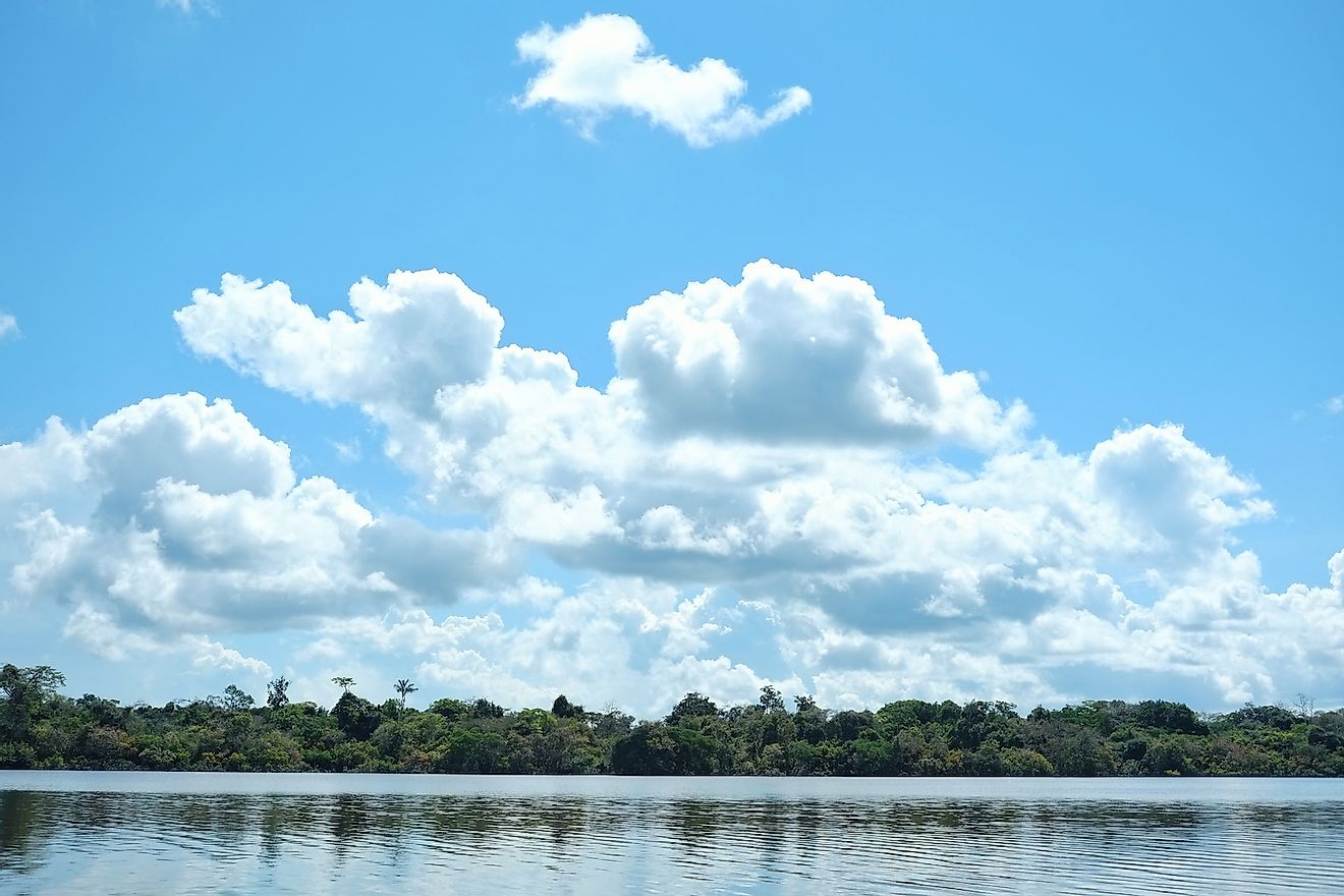 Javari valley, Amazonia / Brazil. Image credit: Laszlo Mates/Shutterstock.com