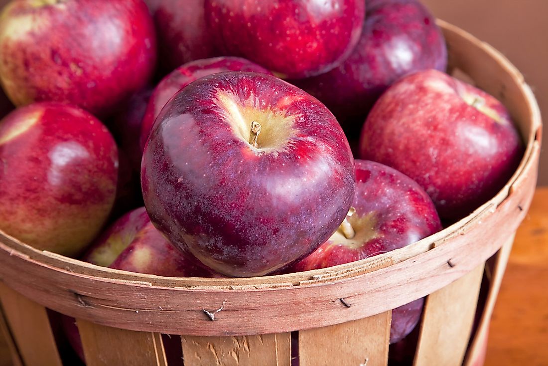 The Most Popular Types Of Apples, Explained