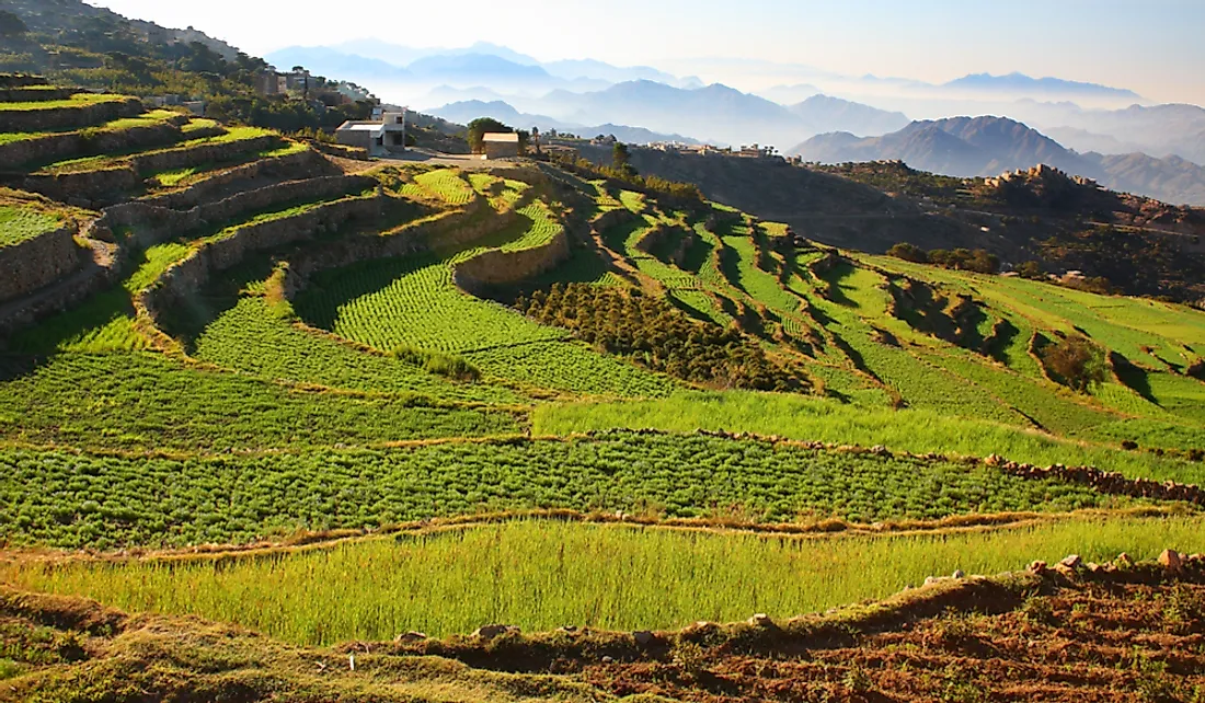 Yemen contains the most fertile land in the Arabian Peninsula.