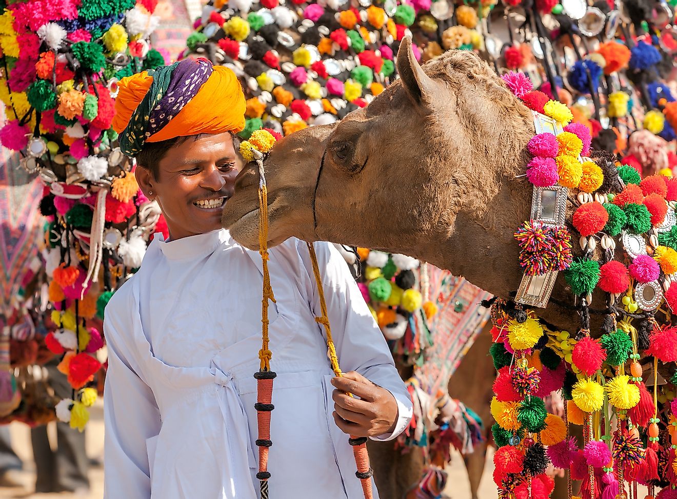 Camel and his owner at traditional camel decoration competition at camel mela in Pushkar, Rajasthan, India. Image credit: photoff/Shutterstock.com