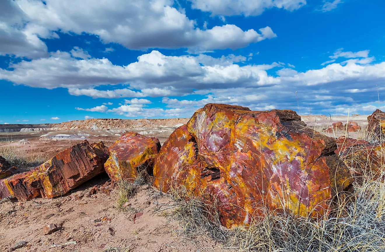 Petrified wood in the badlands of the Petrified Forest National Park in Arizona.