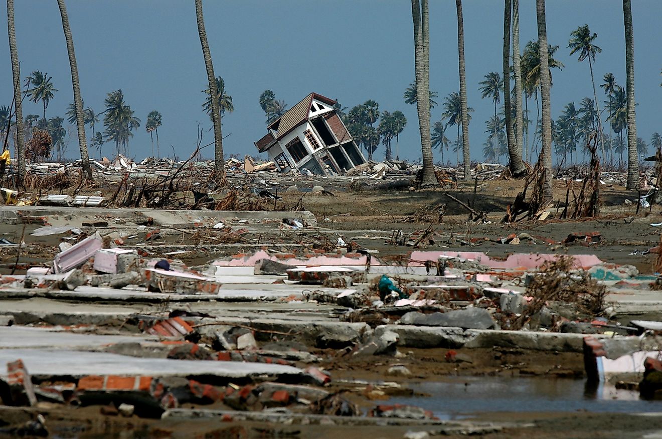 case study on tsunami in india 2004