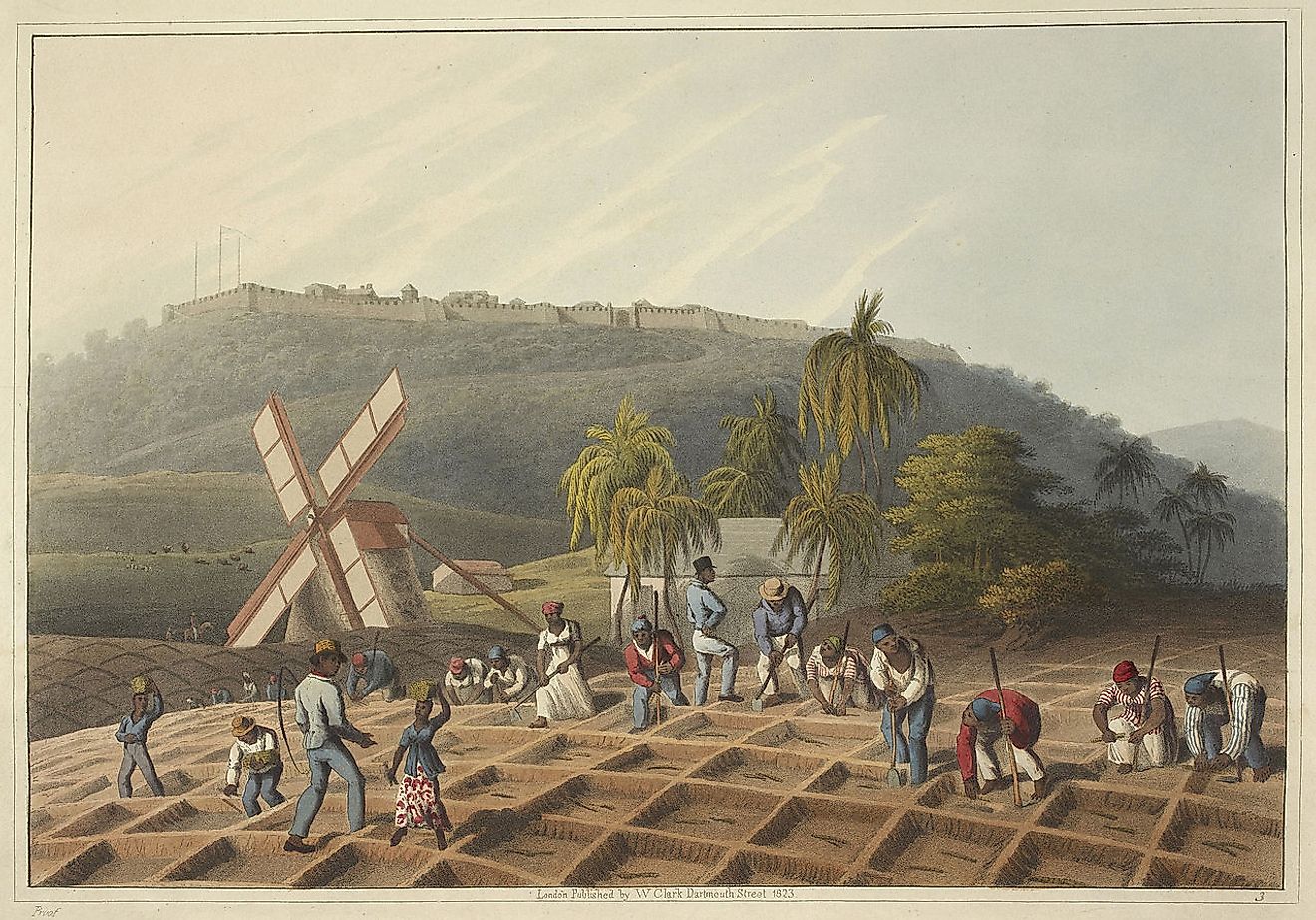 Slaves working on a plantation.
