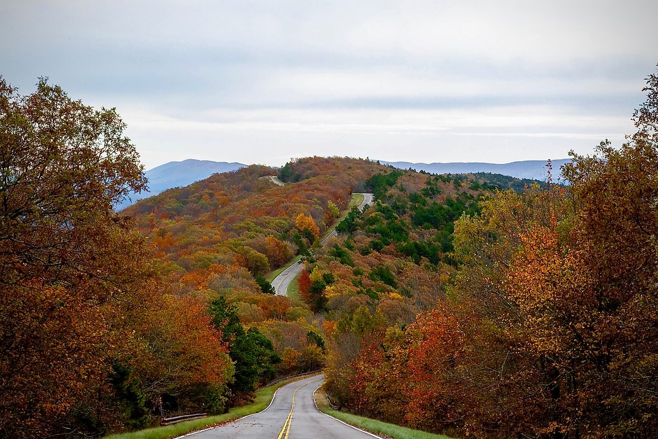Fall foliage along the Talimena National Scenic Byway
