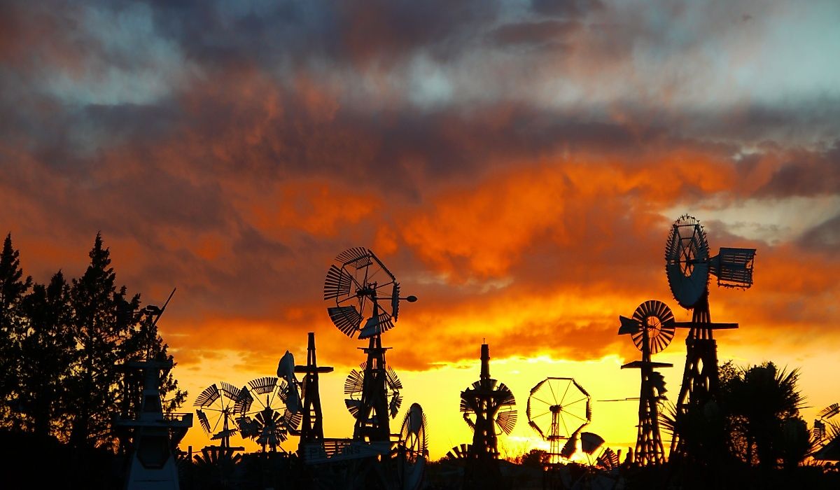 Windmills in Portales, New Mexico.