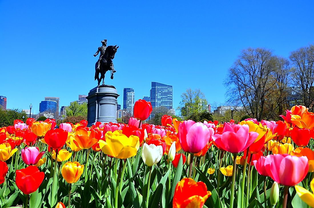 A view of the Public Gardens in Boston. 