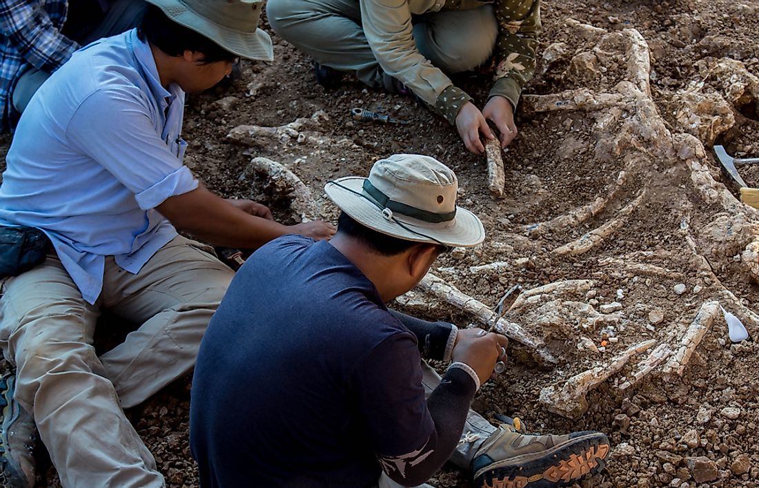 Paleontologists dig at dinosaur bones. 