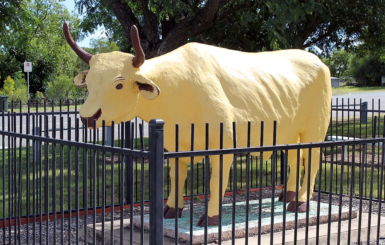 Statue of Banana, a famous bullock cow, who gave his name to the town. Image credit: Tammy27 / Shutterstock.com.