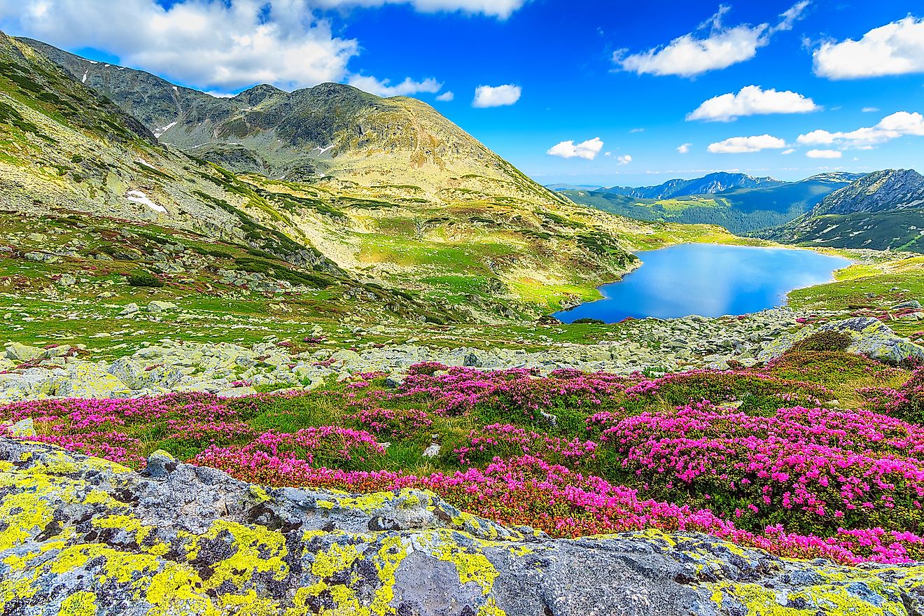 Retezat National Park,Carpathians,Romania,Europe