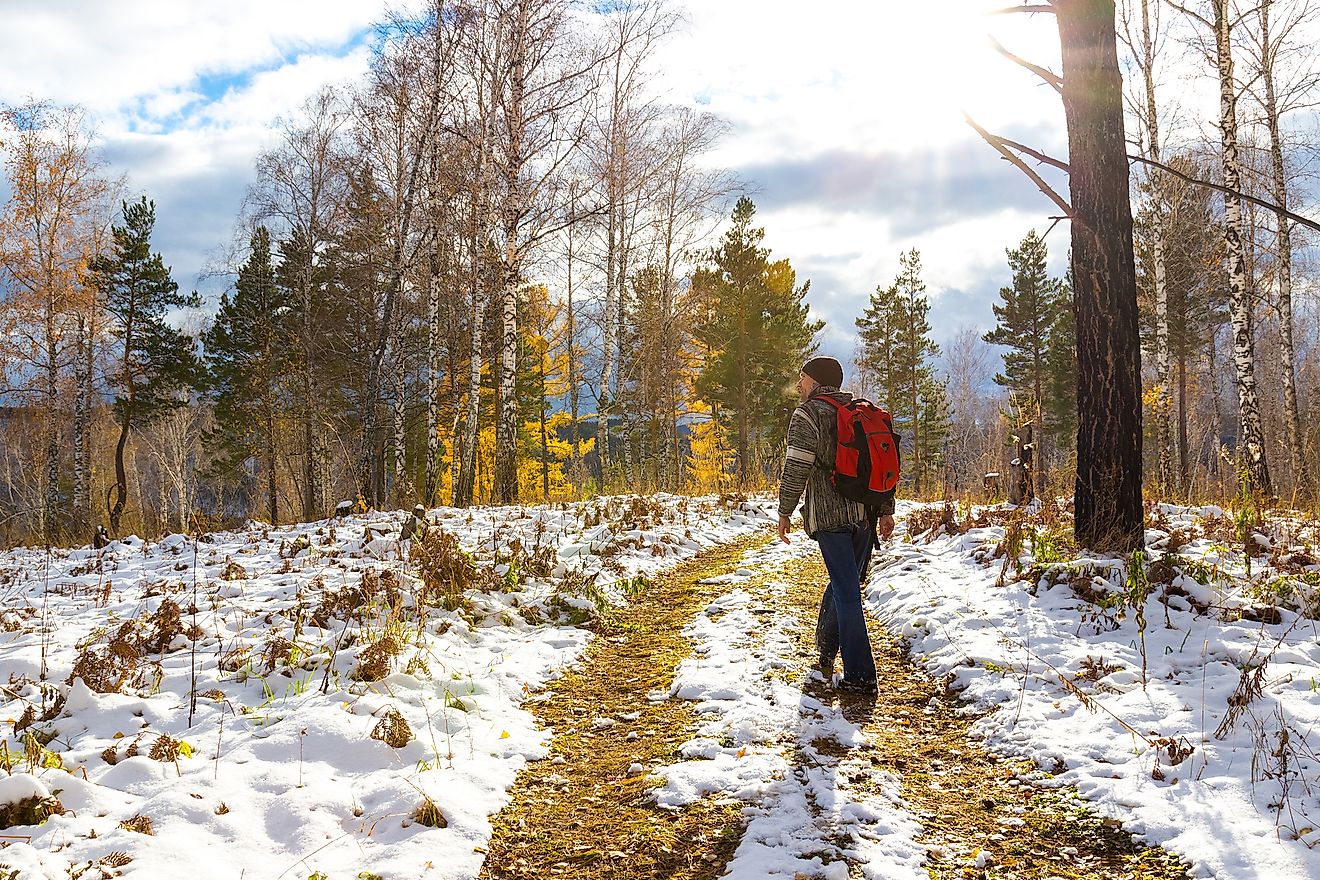 Autumn landscape in the taiga forests of Siberia.