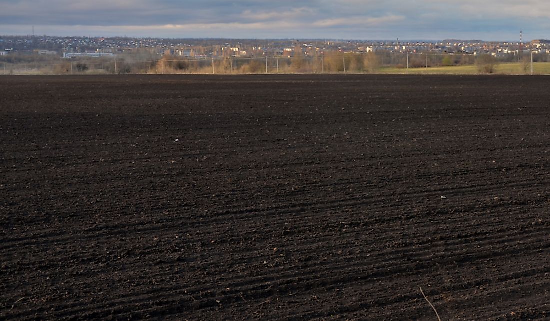 Chernozem field in Yelets, Russia.