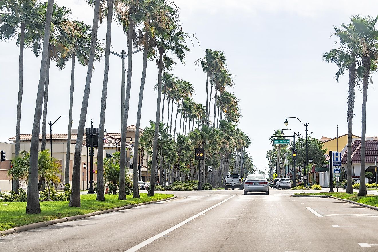 Harbor Drive in Venice, Florida, via Kristi Blokhin / Shutterstock.com