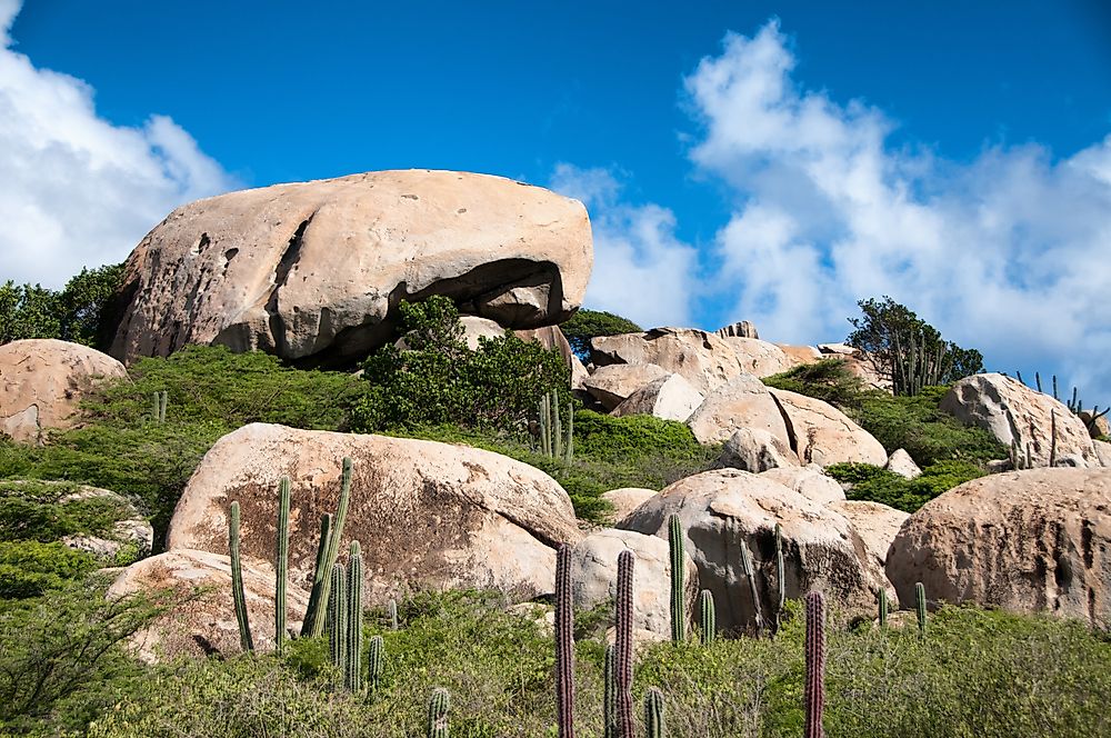 Cactuses and lizards are primarily found around the Ayo Rocks. 