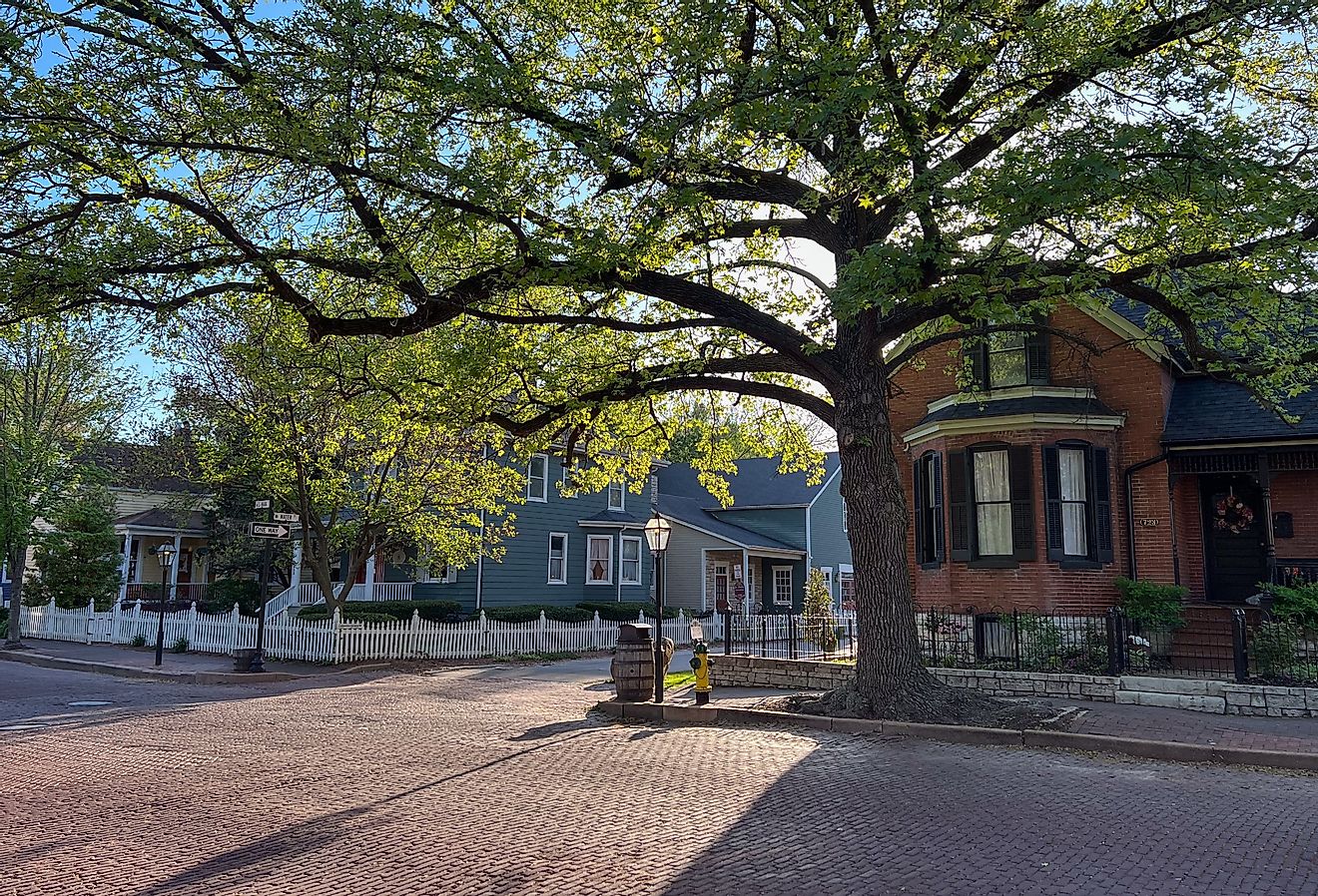 Urban tree canopy in historic Saint Charles, Missouri.