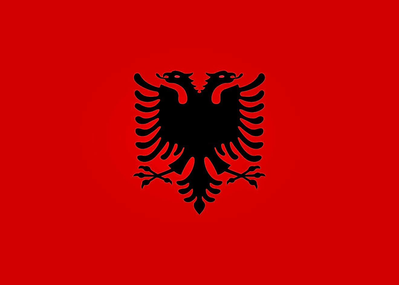 The flag of Albania famously features an eagle. 