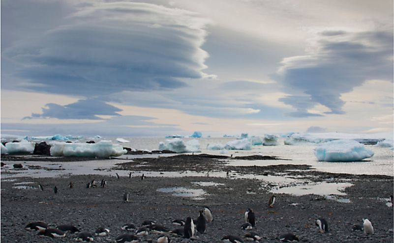 Lenticular clouds show katabatic winds are imminent in Brown Bluff, Antarctica.