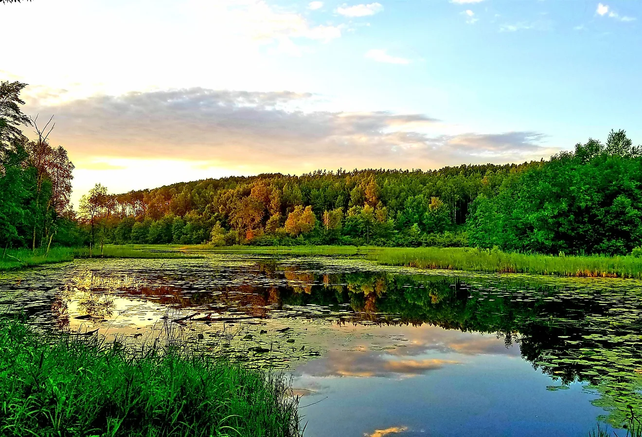 The sun setting over a small opening to a secluded lake located in Itasca County Minnesota within the Chippewa National Forest.