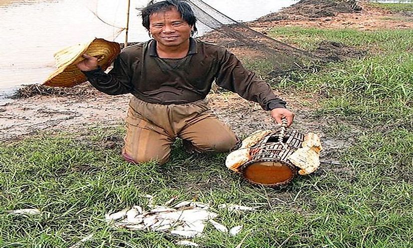 Thai fishermen often catch fish infected with the Southeast Asian liver fluke that is capable of causing cancer when undercooked or raw fish is consumed.