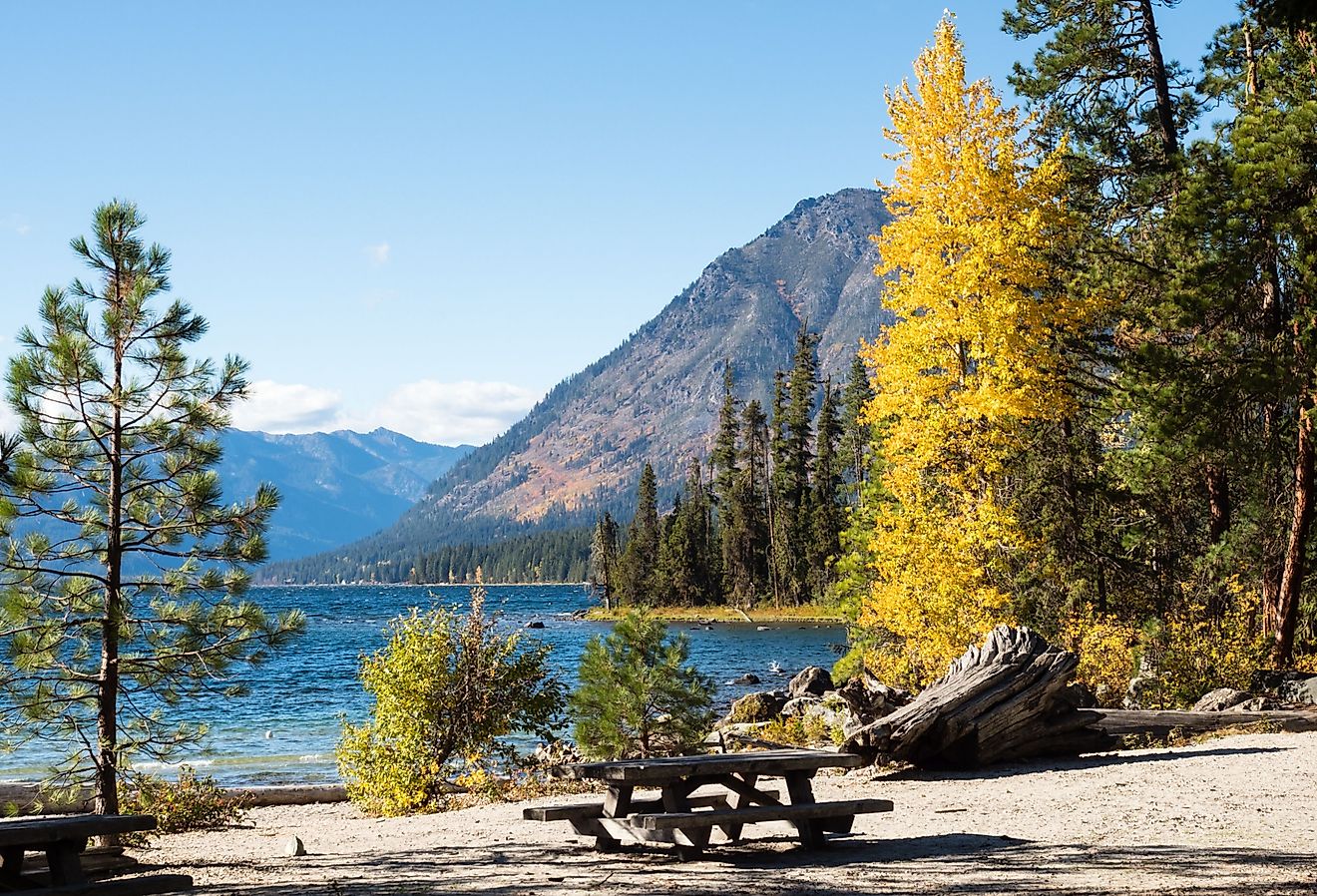 Fall foliage on the banks of Lake Wenatchee, Washington state, USA. 