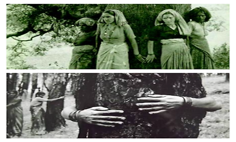 Women played an important role in making the Chipko Movement a successful endeavour to save the environment.