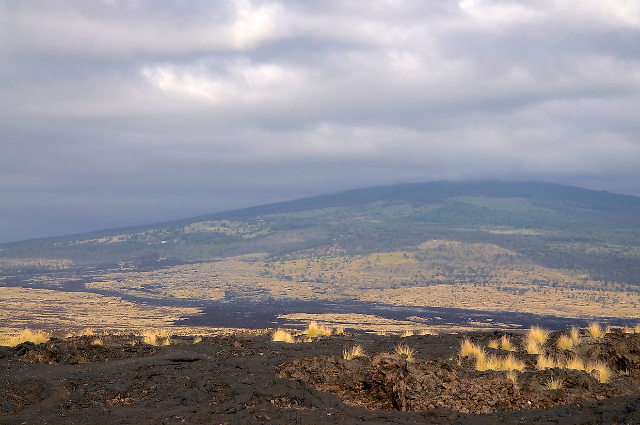 Mt. Hualalai