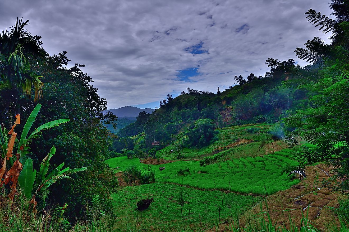 The Sri Lankan highlands are home to many mountain peaks. 