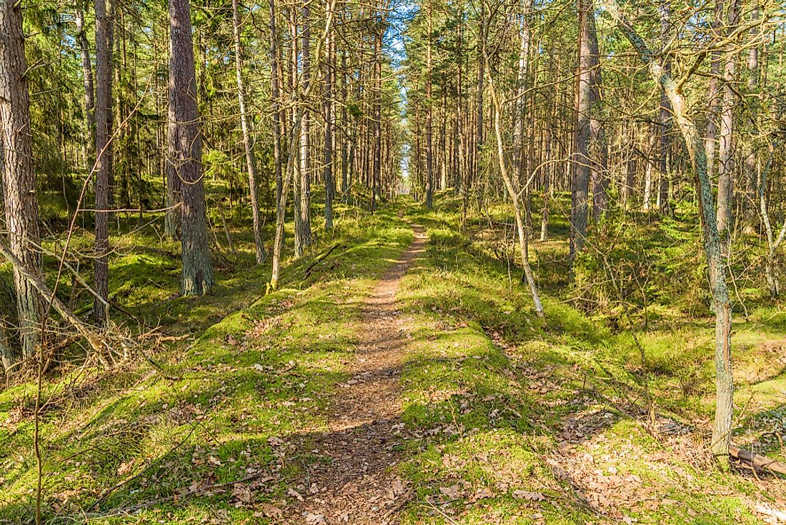 Rail trails convert abandoned railways into walking trails. 