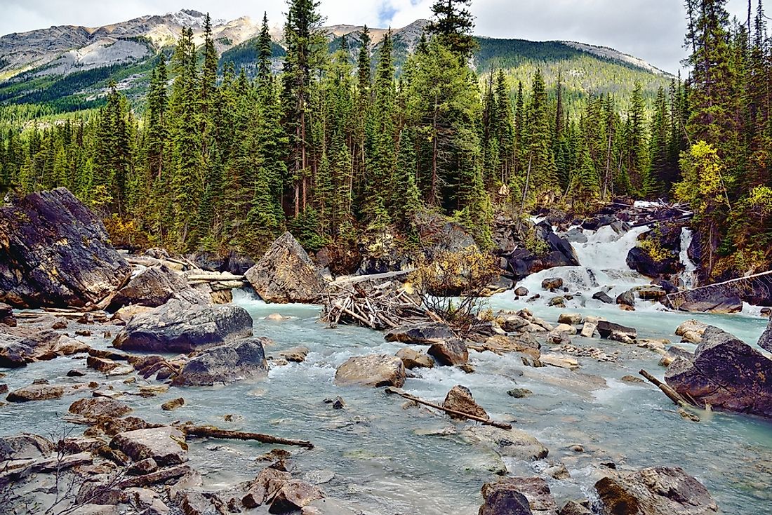 The vast Canadian wilderness was the major source of inspiration for Group of Seven painters. 