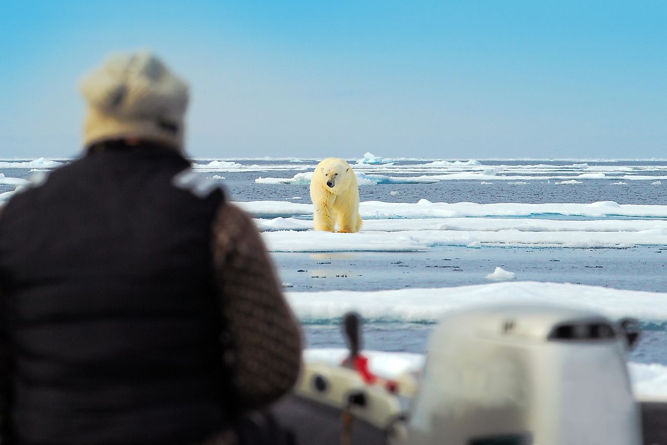 The spectacular sight of a polar bear in the Arctic landscape in Russia. Image credit: Ondrej Prosicky/Shutterstock.com