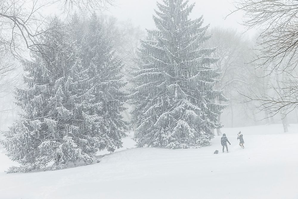 New York's Central Park under heavy snowfall from a weather bomb. Editorial credit: lev radin / Shutterstock.com