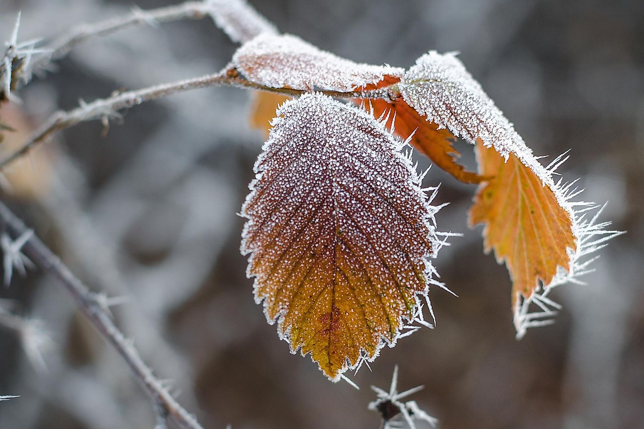 This process happens when the surface of a solid gets cooled down below the freezing point of water and below the condensation point of the air surrounding it.