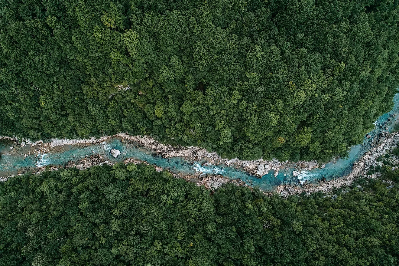 A rive flowing through a forest. Image credit: GoncharukMaks/Shutterstock.com