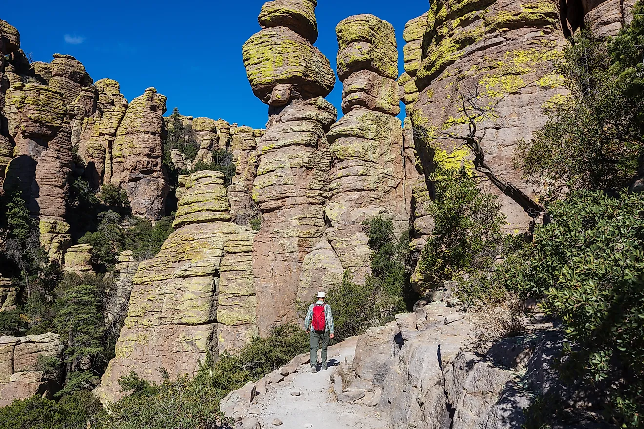 Unusual landscape at the Chiricahua National Monument, Arizona, USA. Credit: Galyna Andrushko/Shutterstock.com