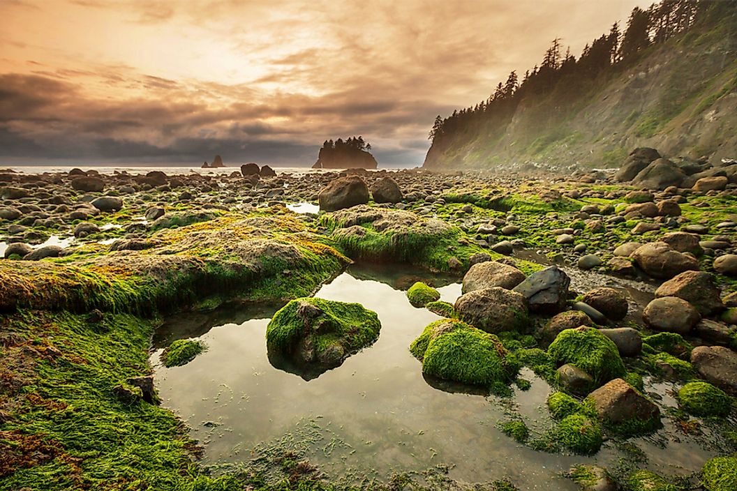 Olympic National Park.