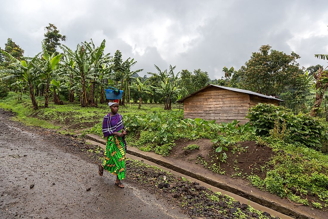 A woman walks in Virunga National Park, the Democratic Republic of the Congo. Editorial credit: LMspencer / Shutterstock.com.