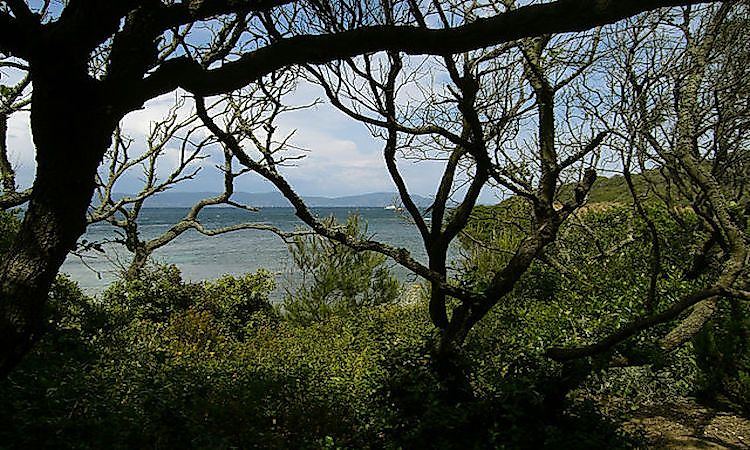 The Port-Cros National Park in France