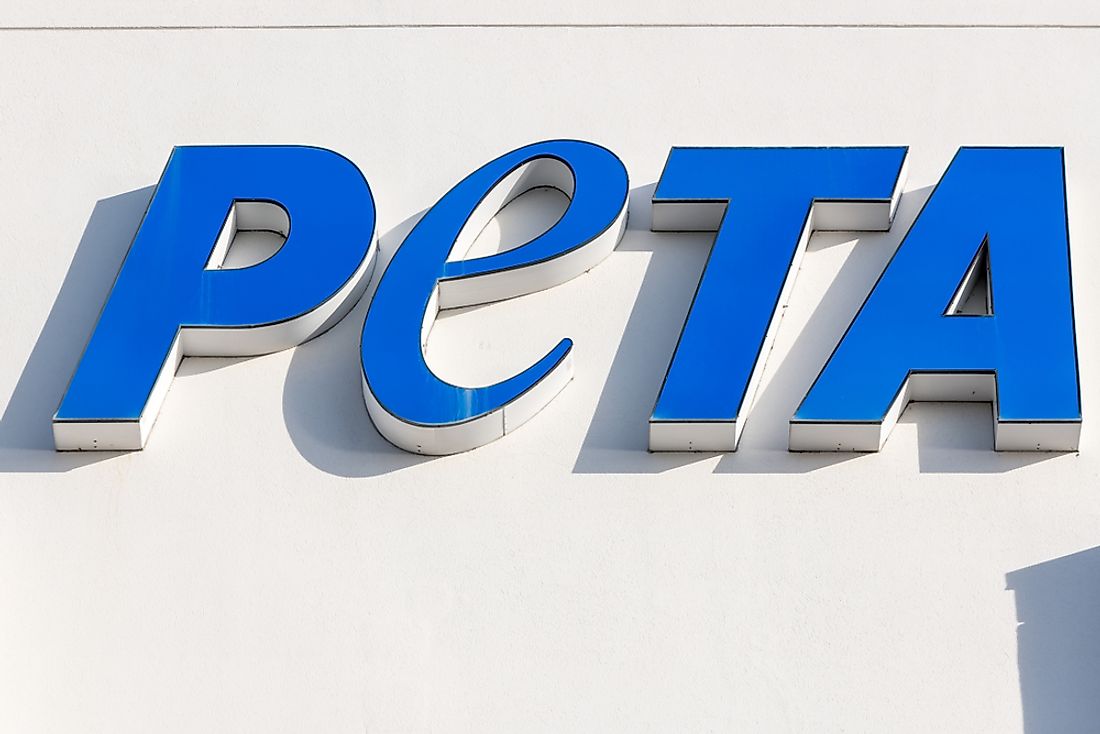 The official PETA logo. Editorial credit: William Howard / Shutterstock.com. 