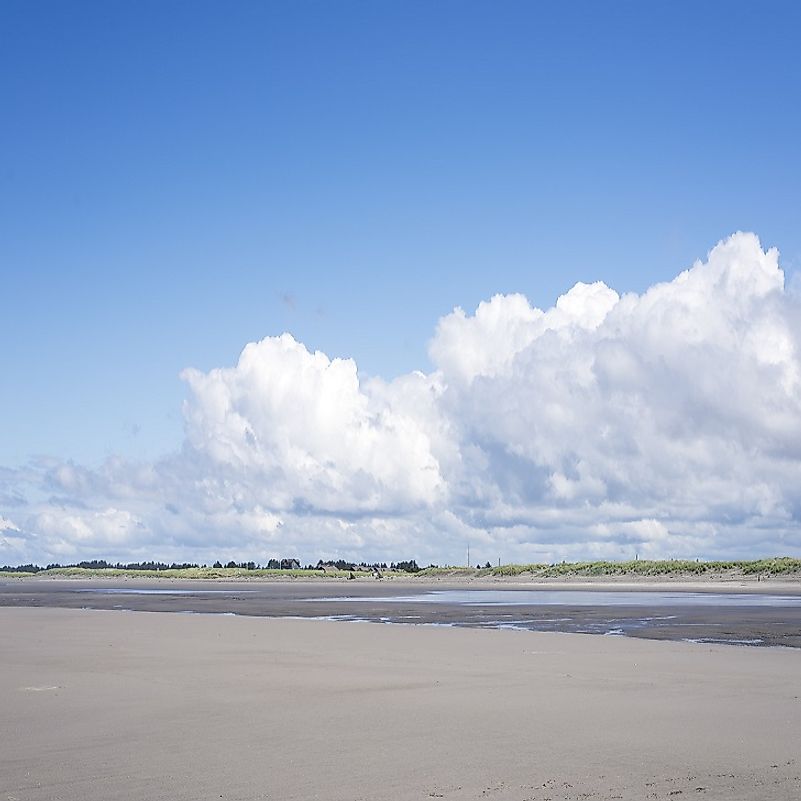 The characteristically firmly packed sands of Washington state's Long Beach, along the U.S. Northwest's Pacific Coast.