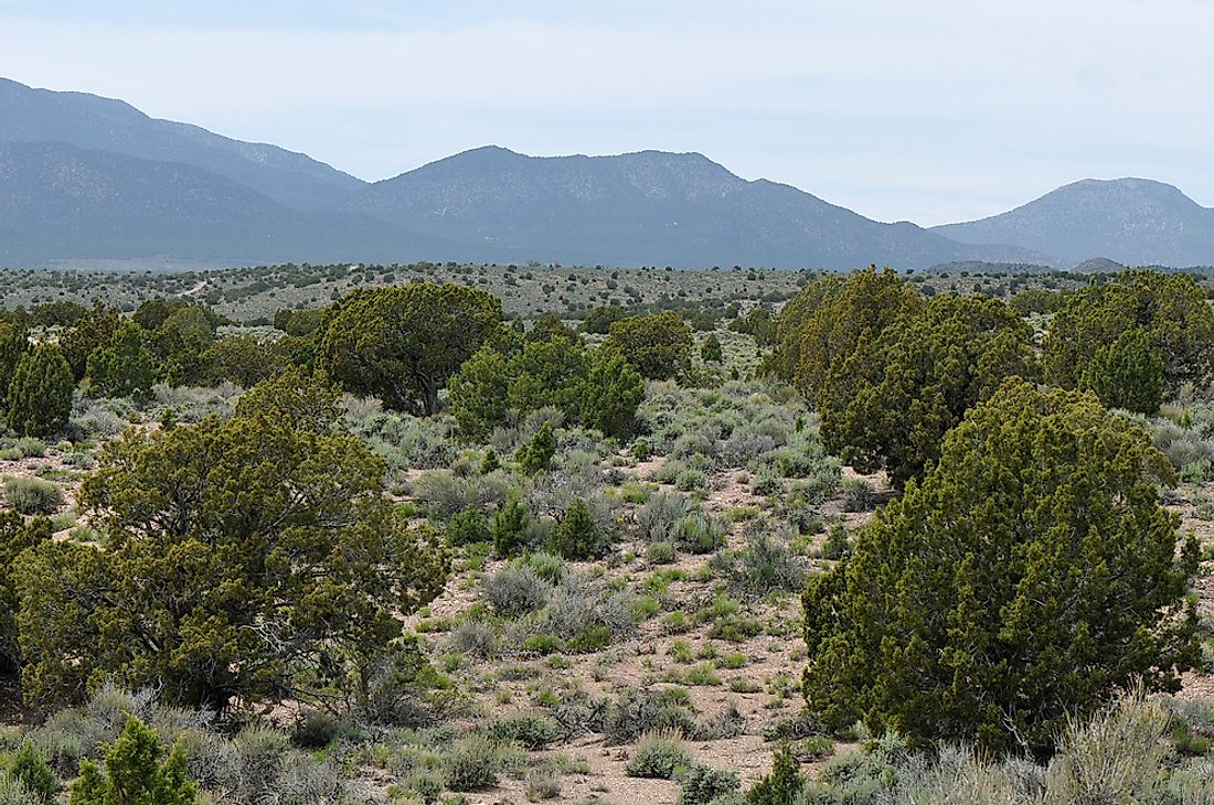 north american desert