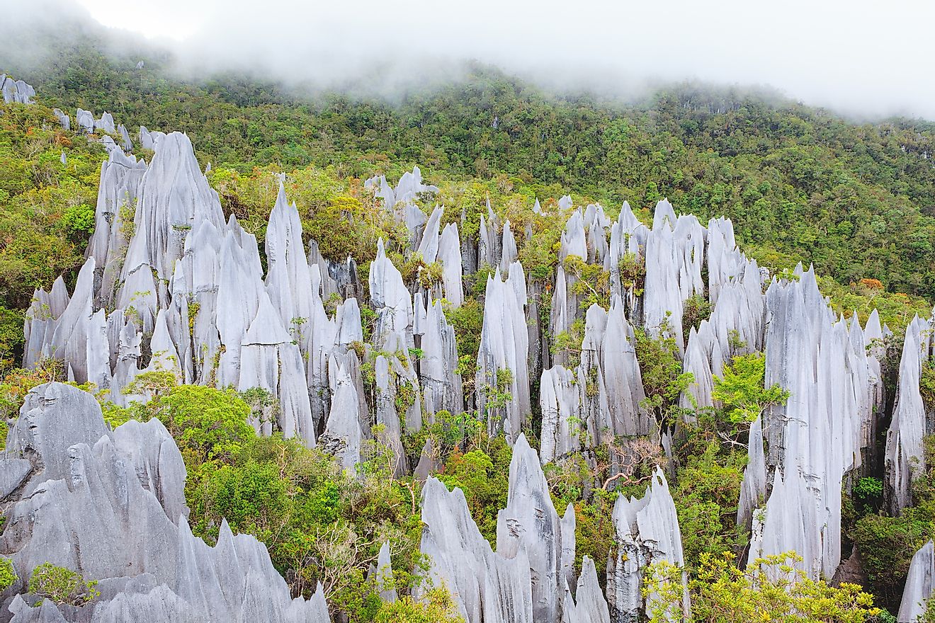 Limestone pinnacles at Gunung Mulu National Park. Image credit: Juhku/Shutterstock.com